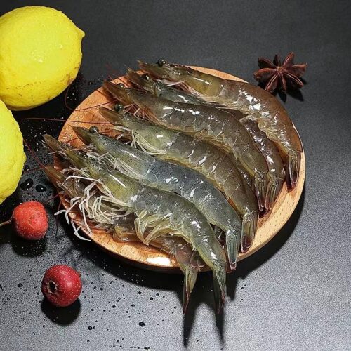 Tôm Sú