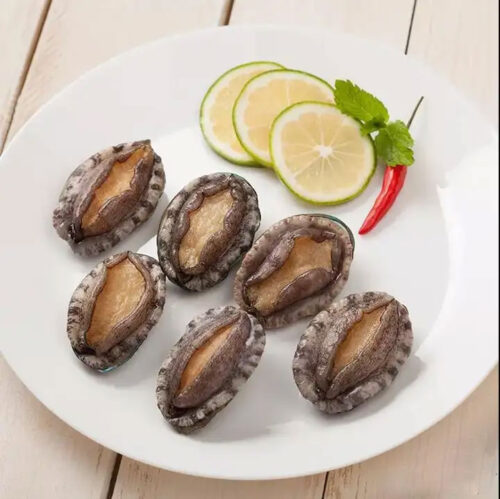 Bào Ngư Tươi