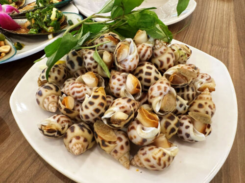 Ốc Hương